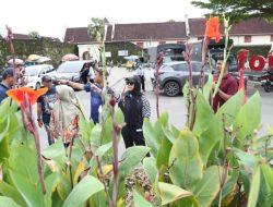 Tata Taman Kota, Fatmawati Rusdi Lakukan Peninjauan Langsung