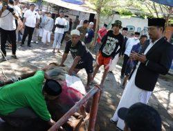 Wali Kota Danny Pomanto Saksikan Pemotongan Hewan Kurban dan Gelar Open House