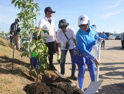 Penanaman Pohon Tabebuya Bakal Ramaikan Giat APEKSI untuk Wujudkan Lingkungan Hijau