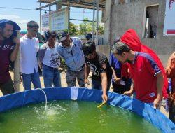 Pelatihan Budidaya Ikan Sistem Bioflok di Pallangga Buka Wawasan Baru bagi Peserta