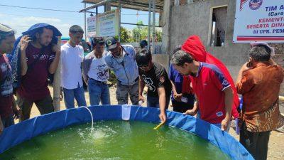Pelatihan Budidaya Ikan Sistem Bioflok di Pallangga Buka Wawasan Baru bagi Peserta