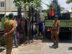 Kolaborasi Dinas PU dan Komisi C DPRD Makassar Cabut 7 Tiang Kabel Fiber Optik Tak Berijin