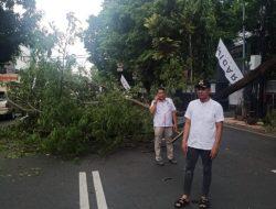Kecamatan Bontoala Lakukan Penanganan Pohon Tumbang di Jalan Bawakaraeng