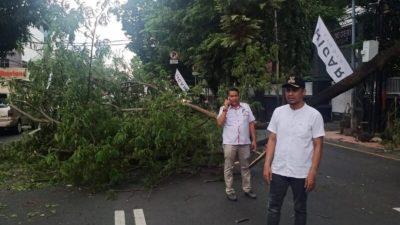 Kecamatan Bontoala Lakukan Penanganan Pohon Tumbang di Jalan Bawakaraeng