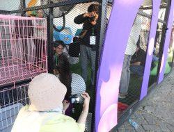 Fotografi Fauna di Event F8: Tantangan dan Keindahan yang Tak Terlupakan